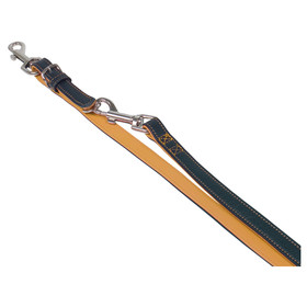 Nobby F&uuml;hrleine Pacific orange