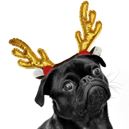 weitere Abbildung Nobby Geweih Xmas gold