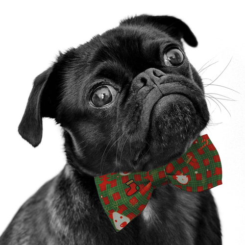 weitere Abbildung Nobby Glitzerhalsband Xmas mit Fliege