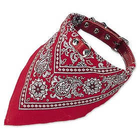 Abbildung Nobby Halsband mit Tuch rot mit Motiv