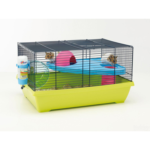 Nobby Hamsterheim Peggy