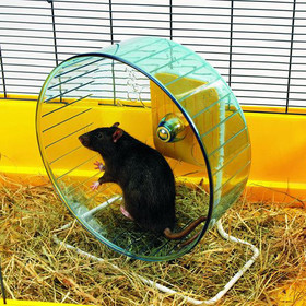 Abbildung Nobby Hamsterrolle Rolly Giant