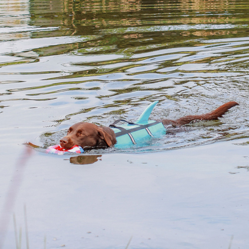 weitere Abbildung Nobby Hunde Schwimmweste Sharki hellblau