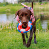 Nobby Hunde Schwimmweste Sharki rosa Abbildung 3