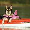 Nobby Hunde Schwimmweste Sharki rosa Abbildung 5