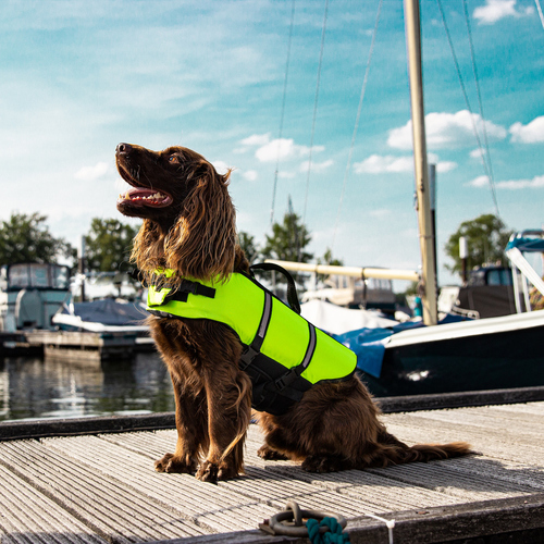 weitere Abbildung Nobby Hunde Schwimmweste neongelb
