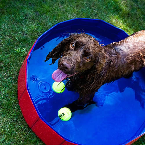 weitere Abbildung Nobby Hundepool