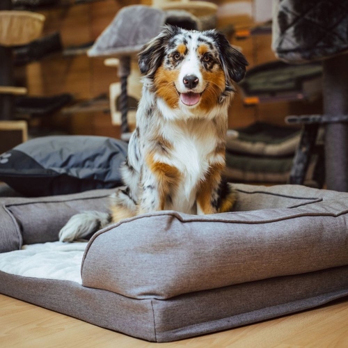 weitere Abbildung Nobby Hundesofa Komfort Dima