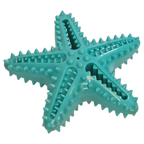 Nobby Hundespielzeug Dental Line Seestern aus TPR