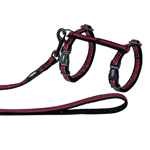 Katzengarnitur Reflect rot, Abbildung 1