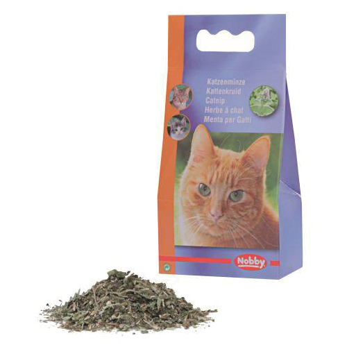 Nobby Katzenminze