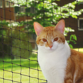 Abbildung Nobby Katzenschutznetz schwarz
