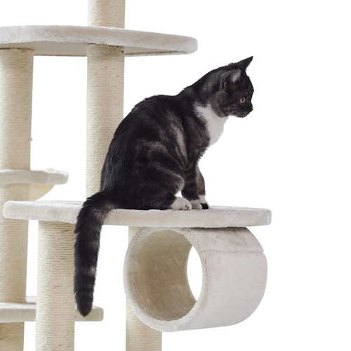 weitere Abbildung Nobby Kratzbaum Classic Dilan cream