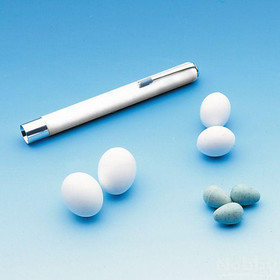 Abbildung Nobby Nesteier Kanarien 100er Pack