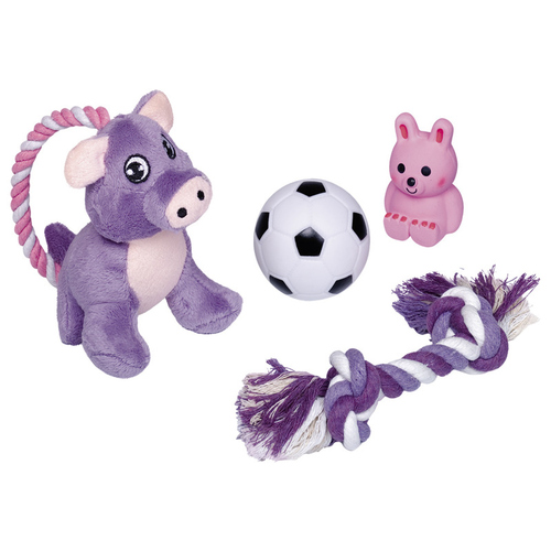 Nobby Puppy Starter Set