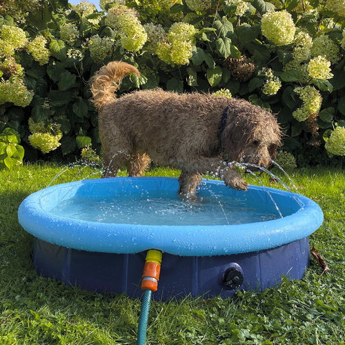 weitere Abbildung Nobby Splash Pool 2 in 1 blau