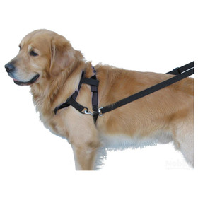 Abbildung Nobby Top Walk