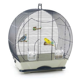 Abbildung Nobby Vogelheim Evelyne 40