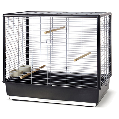 Nobby Vogelheim Noah 60