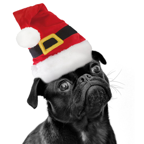 weitere Abbildung Nobby Xmas Mtze 