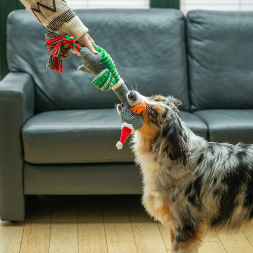 weitere Abbildung Nobby Xmas Plsch Gans mit Spezialstimme