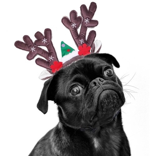 weitere Abbildung Nobby Xmas Rentier-Geweih