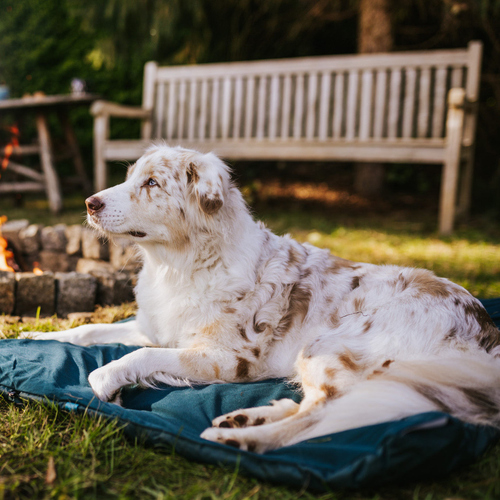 weitere Abbildung Non stop dogwear Campingmatte Trekking Dog Bed dark teal