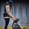 Non stop dogwear Damen Weste Obedience Vest schwarz Abbildung 4