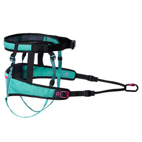 Non-stop dogwear H&uuml;ftgurt CaniX Belt 2.0 aqua/pink