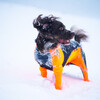 Non stop dogwear Hunde-Ganzkörperanzug Protector Snow Hündin Abbildung 4