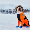 Non stop dogwear Hunde-Ganzkörperanzug Protector Snow Rüde Abbildung 4