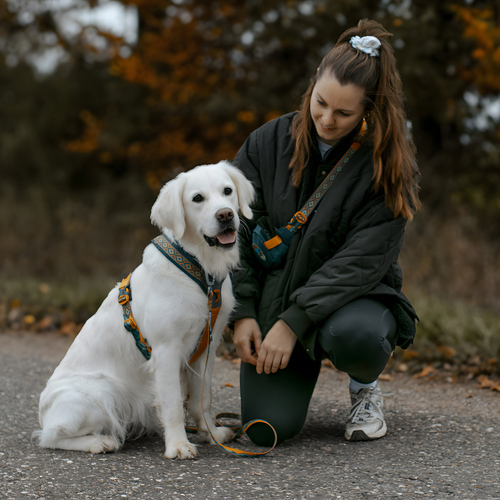 weitere Abbildung Non stop dogwear Hundegeschirr Line Harness 5.0 Rachel Pohl Edition teal/oak