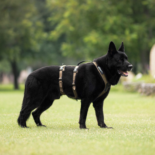 weitere Abbildung Non-stop dogwear Hundegeschirr Line Harness Long WD oliv