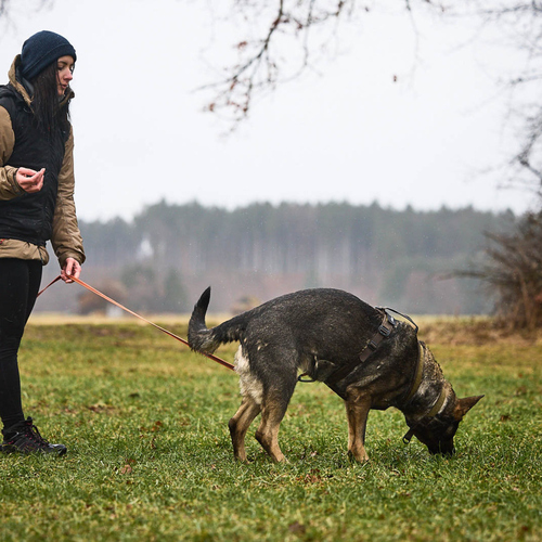 weitere Abbildung Non stop dogwear Hundegeschirr Line Harness WD oliv
