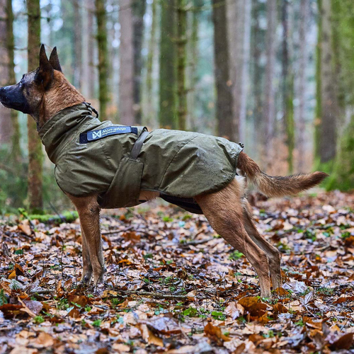 weitere Abbildung Non stop dogwear Hundejacke Glacier Jacket WD oliv