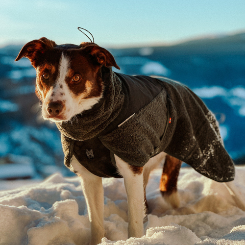 weitere Abbildung Non stop dogwear Hundejacke Wool Jacket dark teal