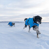 Non stop dogwear Hundemantel Blest Jacket blau Abbildung 4