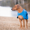 Non stop dogwear Hundemantel Blest Jacket blau Abbildung 5