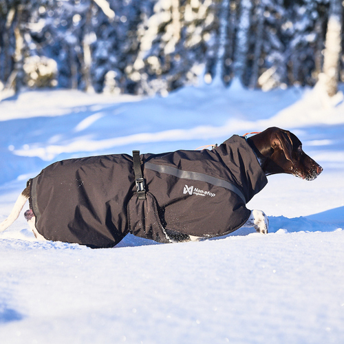 weitere Abbildung Non-stop dogwear Hundemantel Trekking Insulated Dog Jacket schwarz