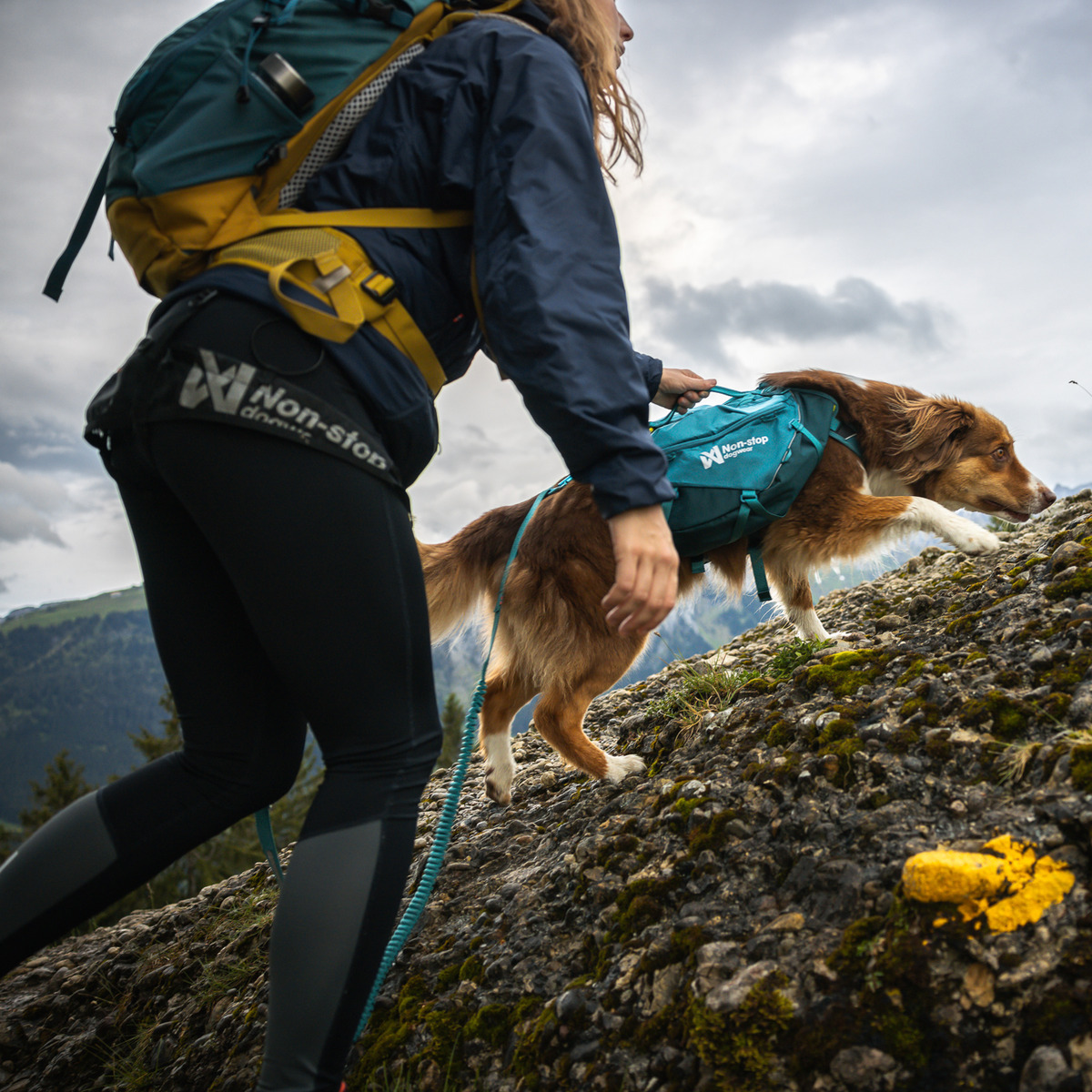 Non-stop dogwear Trail Light Hunderucksack blau | Mein Tierdiscount