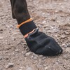 Non stop dogwear Hundeschuhe Protector Booties Abbildung 3