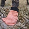 Non stop dogwear Hundesocken Protector Light Socks orange Abbildung 3