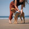 Non stop dogwear Kühlweste Cooling Vest hellgrau/blau Abbildung 2
