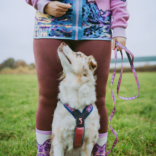 weitere Abbildung Non-stop dogwear Leine Trail Quest Leash Rachel Pohl Edition purple/pink