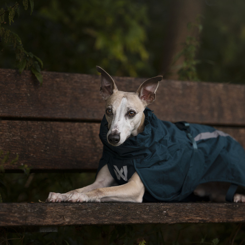 weitere Abbildung Non stop dogwear Regenmantel Fjord Lined Raincoat dark teal