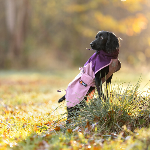 weitere Abbildung Non stop dogwear Regenmantel Fjord raincoat 2.0 purple