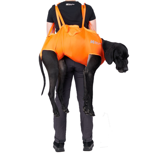 Non-stop dogwear Rettungsschlinge Dog Rescue Sling orange, Größe: M