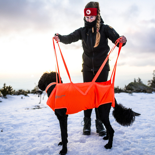weitere Abbildung Non stop dogwear Rettungsschlinge Dog Rescue Sling orange
