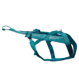 Abbildung Non stop dogwear Zuggeschirr Freemotion Harness 5.0 trkis