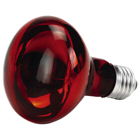 Abbildung OLBA Infrarot-Wrmelampe R95 60 W fr Geflgel